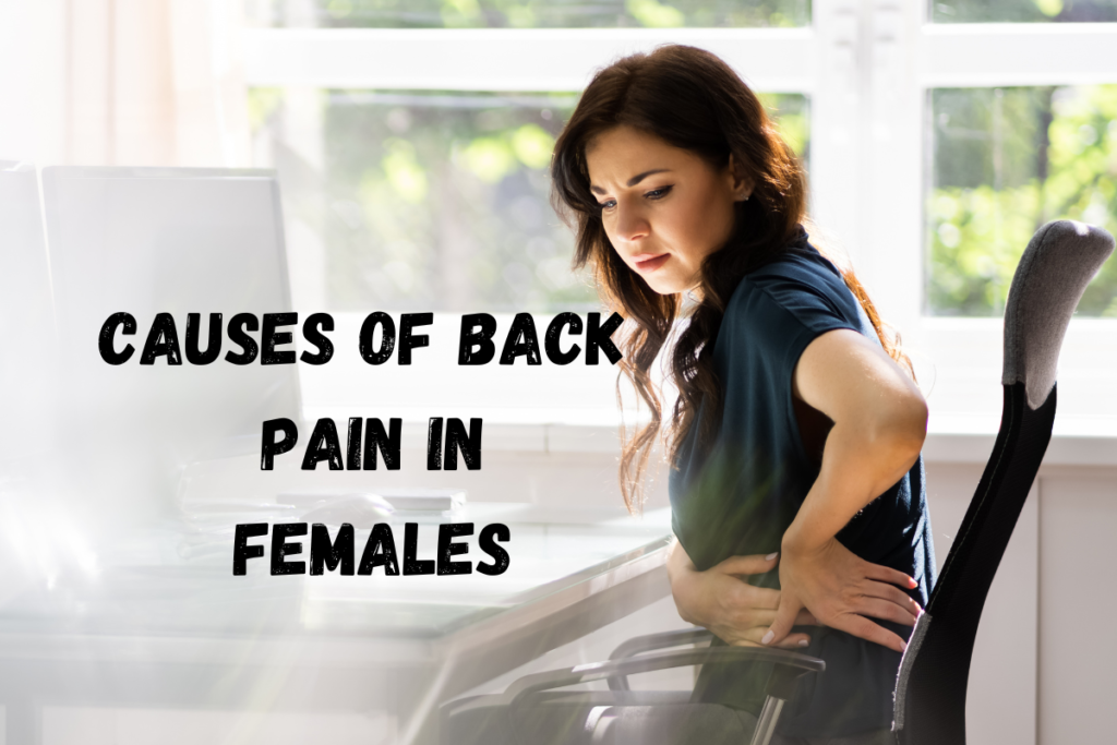 Causes of Low Back Pain in Females – Darien Chiropractor